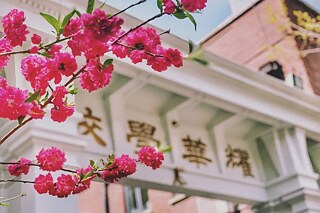 Kirschblüte vor der Tianjin Yaohua High School