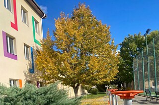 Gebäude des Colegiul Naţional Lucian Blaga