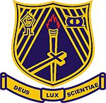 Logo der Opoku Ware School