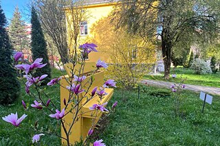 Gebäude des Wasyl-Stus-Lyzeums für Internationale Beziehungen