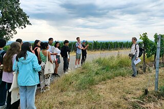 Jugendliche auf einem Weinberg