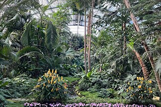 Palmengarten in Frankfurt