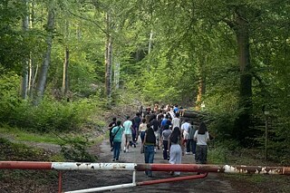 Jugendliche wandern in einem Wald.