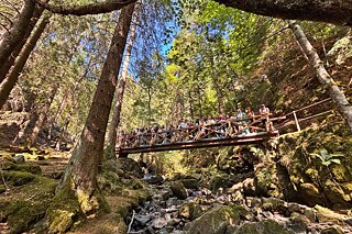Junge Menschen auf einer Holzbrücke im Wald