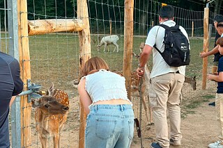 Jugendliche im Wildtiergehege