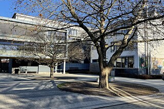 Blick auf das Gebäude der Schule, vor dem Gebäude steht ein Baum