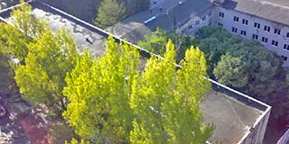 Öffentliche Schule Nr. 195, Tiflis