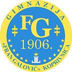 Logo Gimnazija Fran Galović