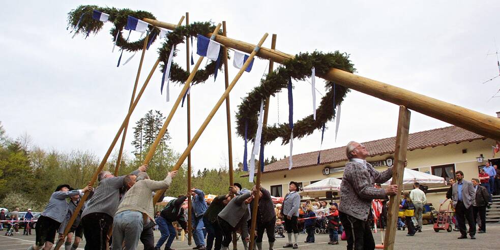 Aufstellen des Maibaums