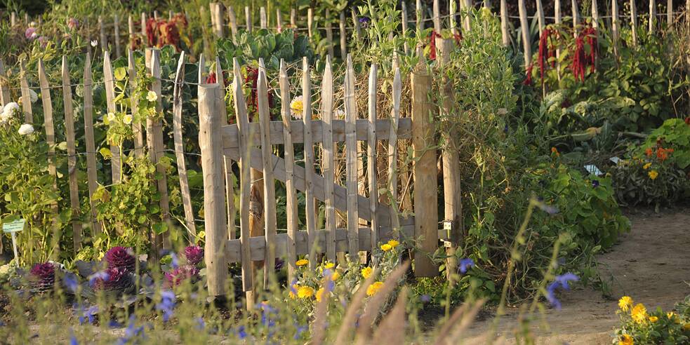 Gartentor in einem Bauerngarten | © picture alliance / blickwinkel/McPHOTO