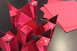 Die Lesefüchse sind eines der größten PASCH-Projekte weltweit. 