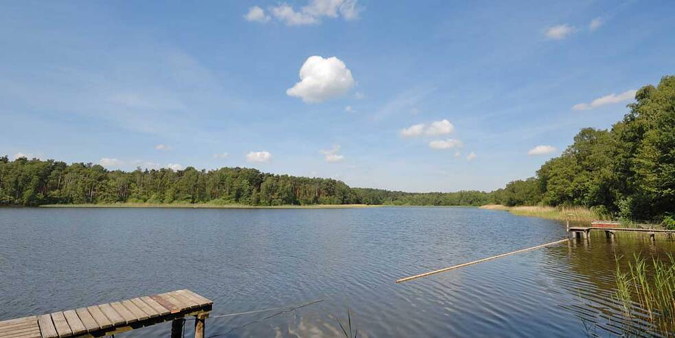 Frauensee in Brandenburg