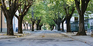 Gebäude der Escola Secundária de Camões