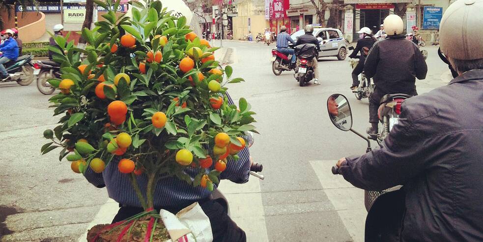 Tet-Fest in Vietnam