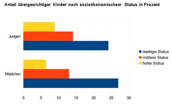 Robert-Koch-Studie zu Übergewicht