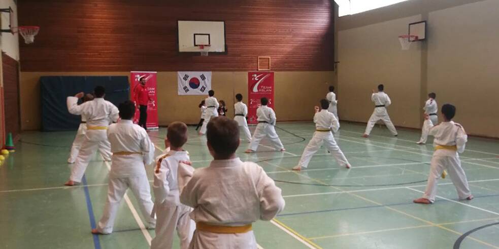 Die Schülerinnen und Schüler des Taekwondovereins üben sich in verschiedenen Fuß- und Armtechniken.