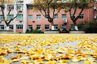 Nanjing Foreign Language School, Gebäude