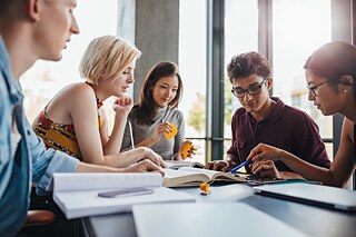 Das Bildungsprogramm Studienbrücke des Goethe-Instituts