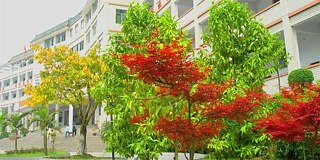 Wanzhu Foreign Language School
