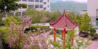 Wanzhu Foreign Language School