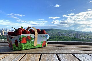 Erdbeeren aus Quebec