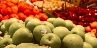 Frisches Obst im Bio-Supermarkt „Diamond“