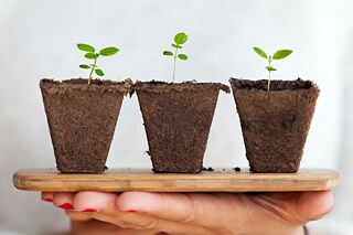Partner des Umweltprojekts „Your planet. You plan it.“ Foto: Unsplash/Daniel Oberg Eine Frau hält eine Pflanze in den Händen.