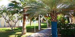 Deutsche Internationale Schule Sharjah