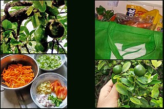 Avocados und Limetten aus dem Garten, Stoffbeutel zum Einkaufen verwenden und mit frischem Gemüse kochen.