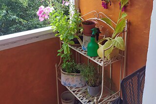 Der kleine Garten auf meinem Balkon