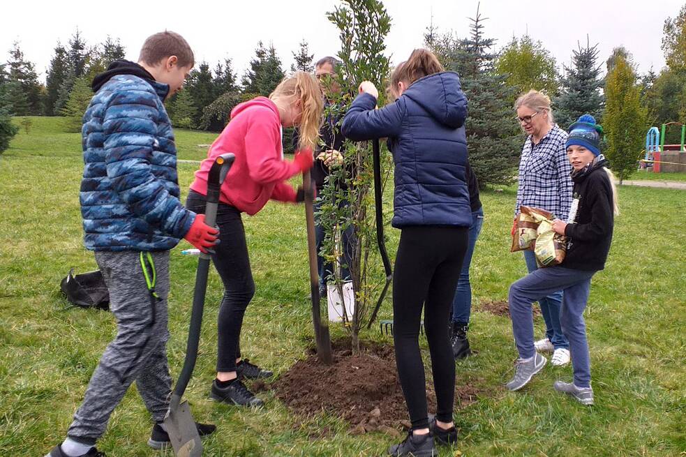 Schülerinnen und Schüler pflanzen einen Baum.