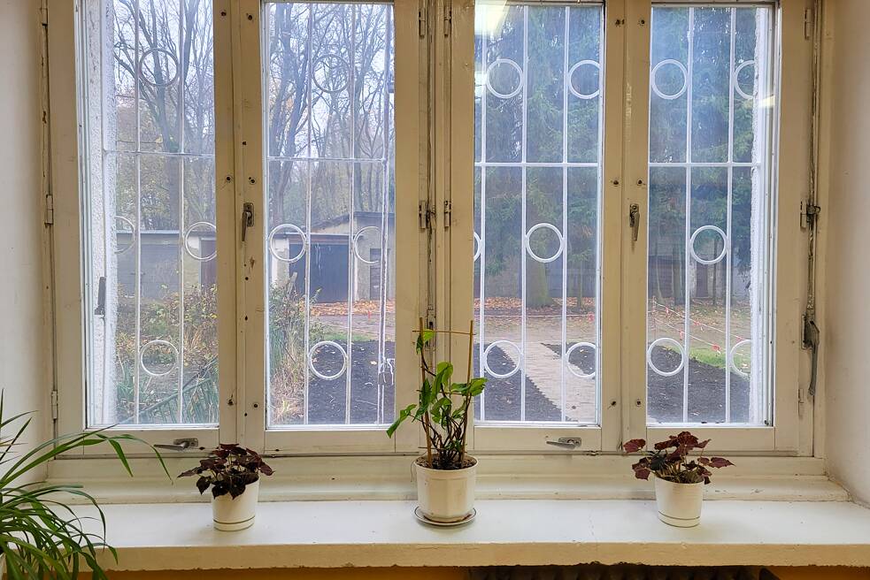 Ein Fenster mit Pflanzen auf dem Fensterbrett. Aus dem Fenster ist der Schulgarten zu sehen.