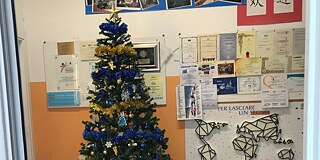 Weihnachtsbaum
