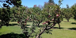 Blick auf den Garten
