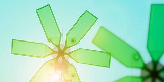 BKD-Kalender 2021 Ökologie und Nachhaltigkeit in Deutschland