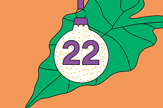 Eine weiße Christbaumkugel mit der Zahl 22 und lilanen Punkten, im Hintergrund ein großes grünes Blatt