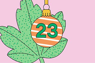Orange-weiß-gestreifte Christbaumkugel mit der Zahl 23, im Hintergrund ein grünes Blatt