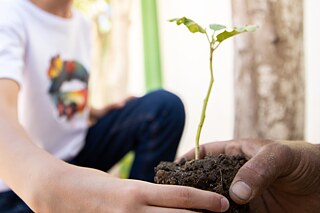 Pflanzaktion für mehr Nachhaltigkeit an Schulen