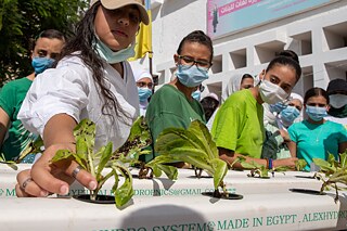 Pflanzaktion für mehr Nachhaltigkeit an Schulen © Goethe-Institut Alexandria, Foto: Ahmed El Ramad Pflanzaktion für mehr Nachhaltigkeit an Schulen