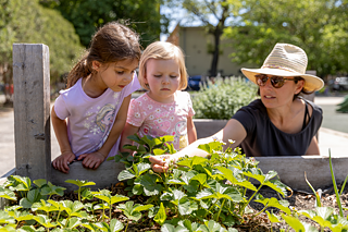 Garten der German International School Chicago