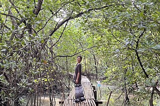 Thailänderin auf einem Steg im Mangrovenwald