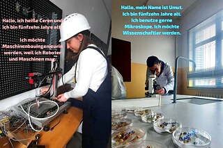 Zusammenschnitt der Fotos