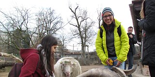 Zwei Jugendliche mit Ziegen im Kölner Zoo