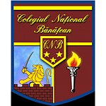 Colegiul Național Bănățean Logo