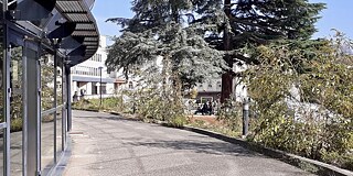 Fassade und Sportplatz