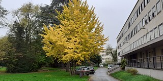 Parkgelände