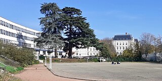 Schulhof und Sportplatz