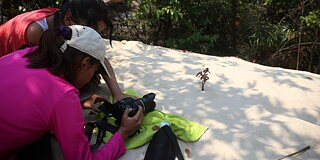 Jugendcamp Südamerika 2015 - Auf Humboldts Spuren © PASCH-net/Luiza Folegatti Zwei Teilnehmerinnen filmen